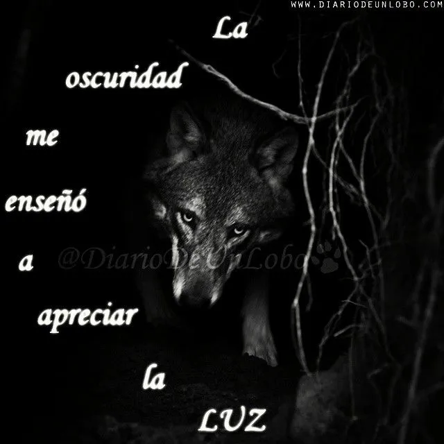 Diario de un Lobo