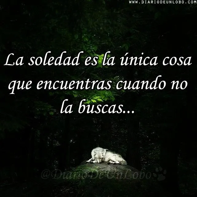 Diario de un Lobo