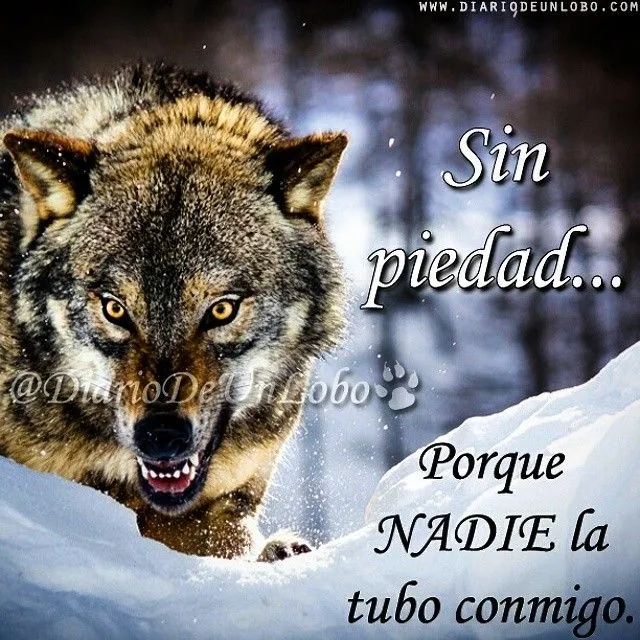 Diario de un Lobo