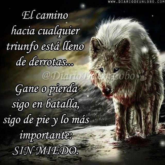 Diario de un Lobo