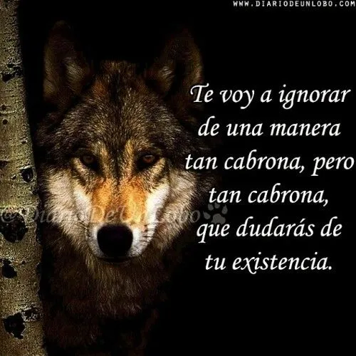 Diario de un Lobo — “Te voy a ignorar de una manera tan cabrona ... Diario de un Lobo — “Te voy a ignorar de una manera tan cabrona ...