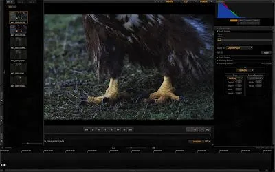 Diario con RED ONE: Aparece Nuevo REDCINE-X 221