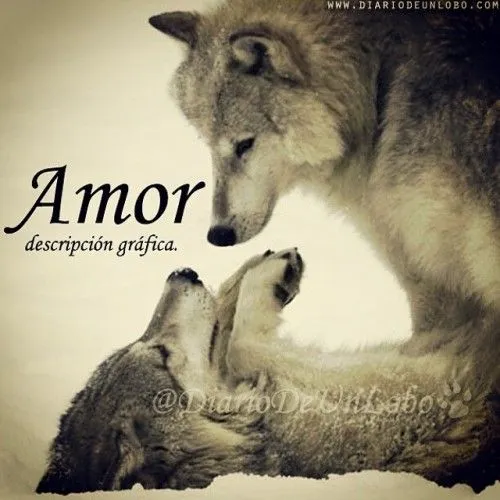 diariodeunlobo | Tumblr