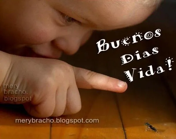 Buenos Días. Hoy es un buen día para confiar | Entre Poemas y ... Buenos Días. Hoy es un buen día para confiar | Entre Poemas y ...