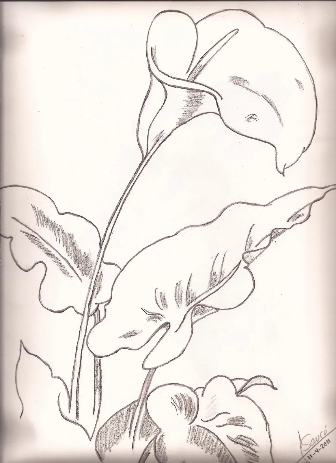 Dibuix i Pintura Artística: dibujos