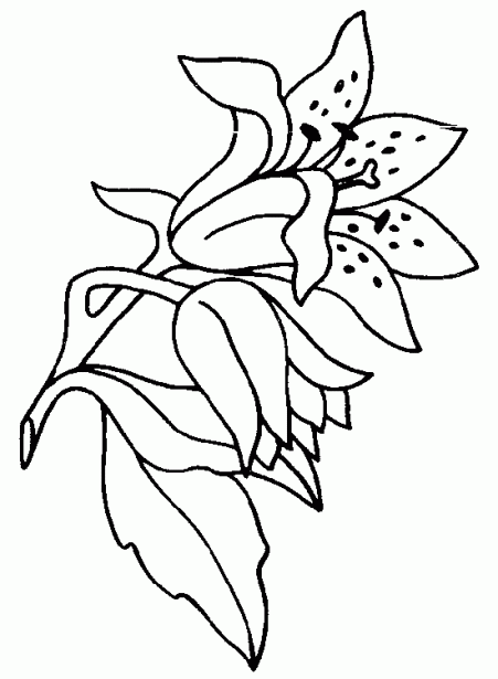 Dibuixos per pintar: Primavera