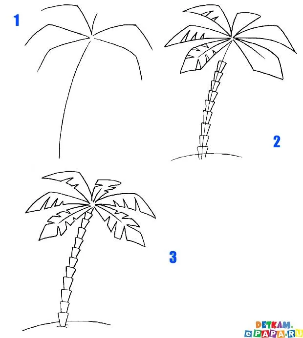 Una palma para dibujar - Imagui