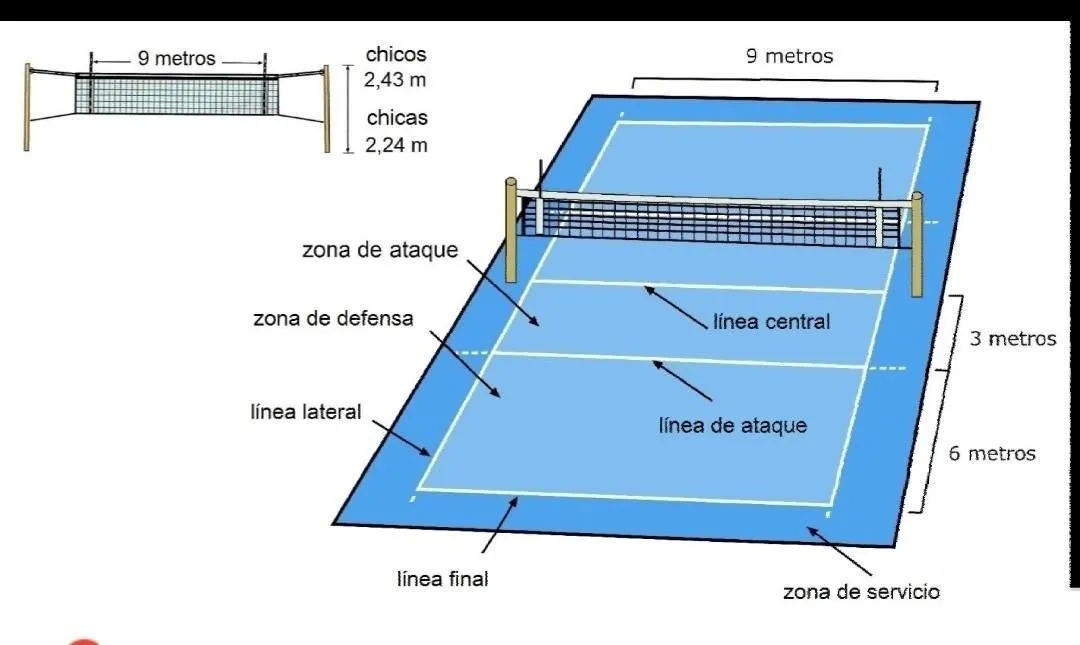 dibuja una cancha de voleibol con la ubicacion de los jugadores (delanteros  y zagueros) y con flechas - Brainly.lat