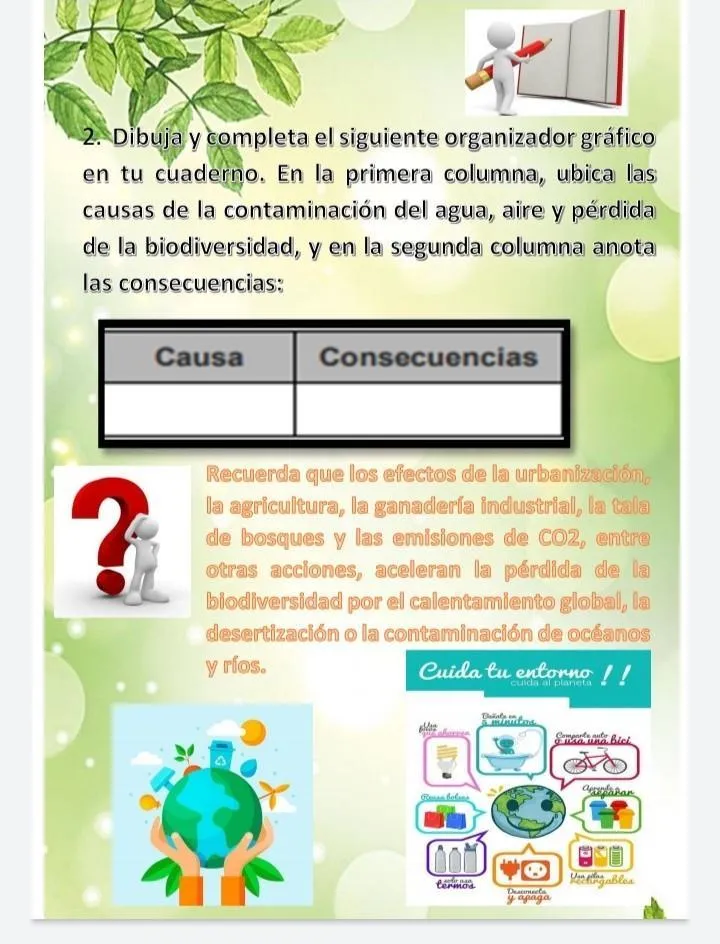 Dibuja y completa el siguiente organizador gráfico en tu cuaderno. En la  primera columna, ubica las causas - Brainly.lat