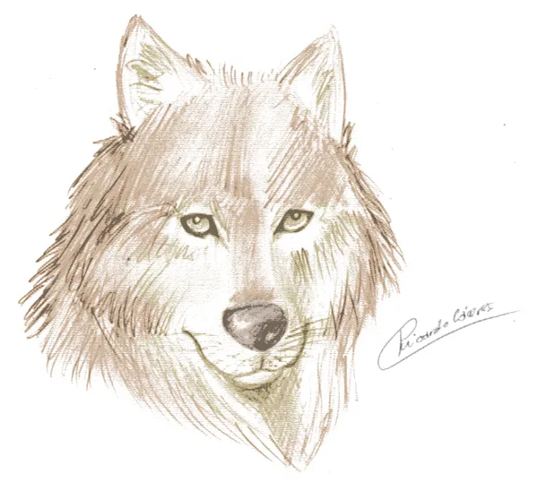 Lobos tiernos animados - Imagui