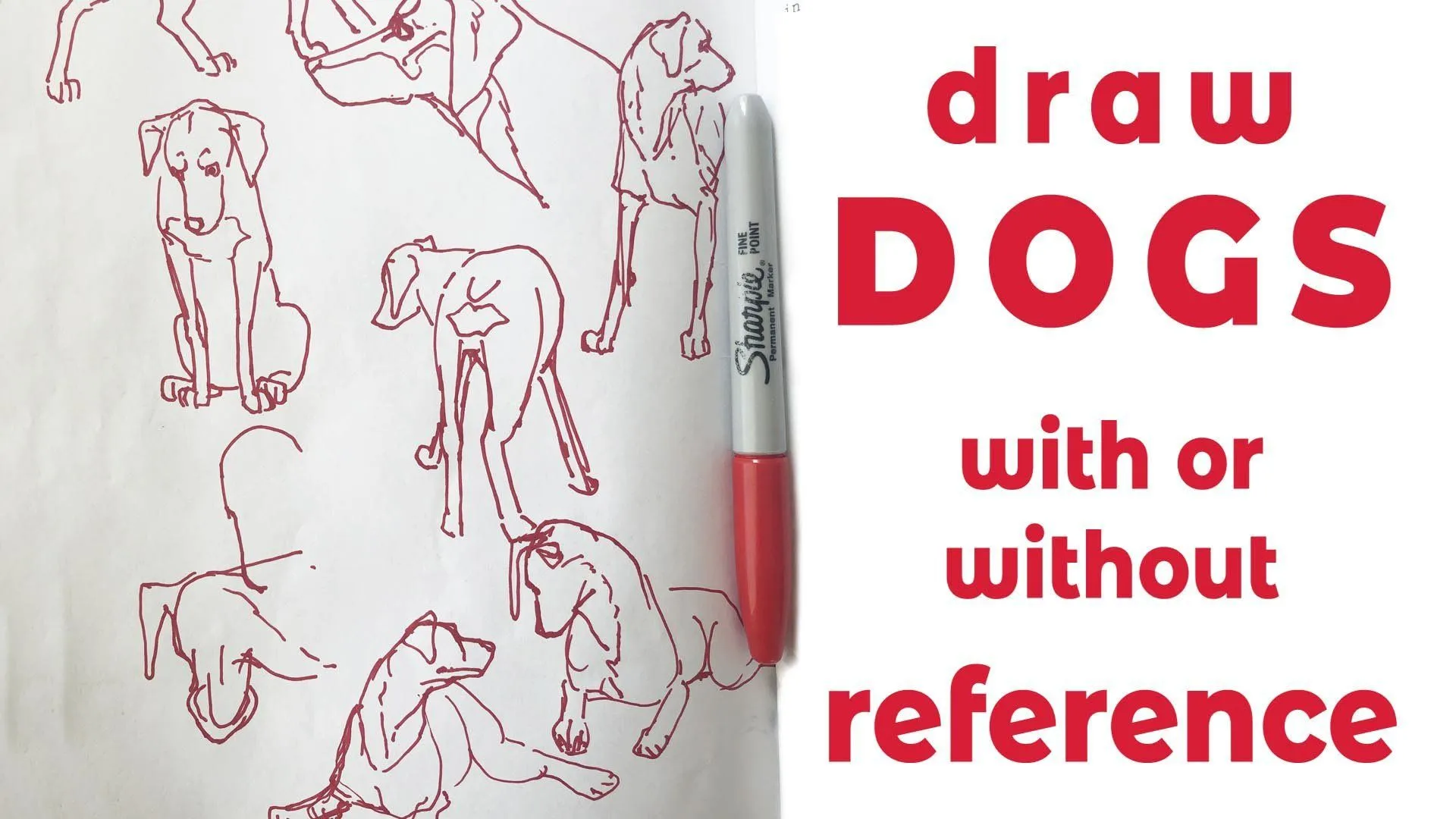 Dibuja perros (o cualquier cosa) con o sin referencia | Steve Worthington | Skillshare Dibuja perros (o cualquier cosa) con o sin referencia | Steve Worthington | Skillshare