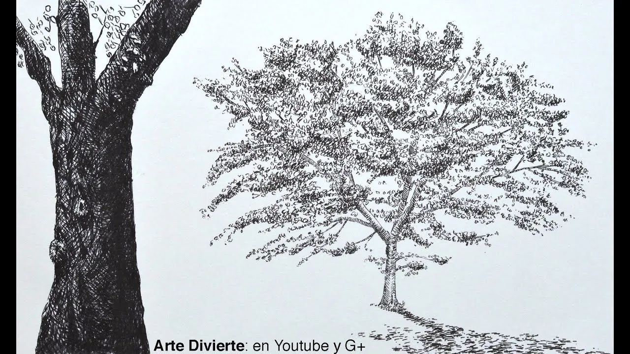 Dibujando árboles: cómo dibujar un roble con marcadores - Arte Divierte. - YouTube Dibujando árboles: cómo dibujar un roble con marcadores - Arte Divierte. - YouTube