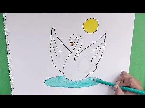 Dibujando y coloreando paso a paso a Cisne - Drawing and coloring ...