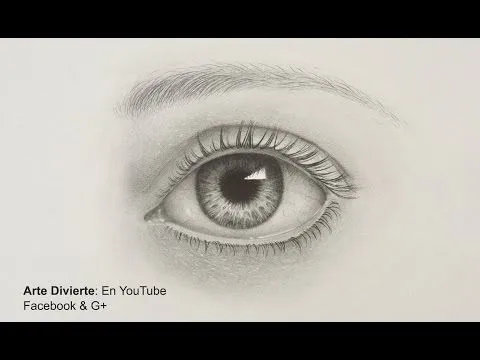 Dibujando felinos:cómo dibujar una leon - Youtube Downloader mp3 Dibujando felinos:cómo dibujar una leon - Youtube Downloader mp3