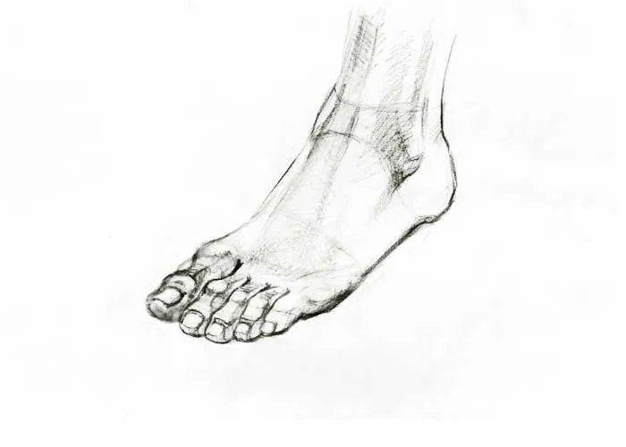 Dibujando el Pie - Cómo Dibujar un Pie