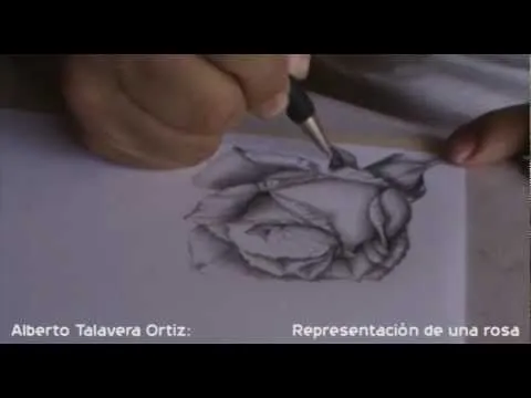 Dibujando una rosa - Dibujo - Vegetaciones - Alberto Talavera ...
