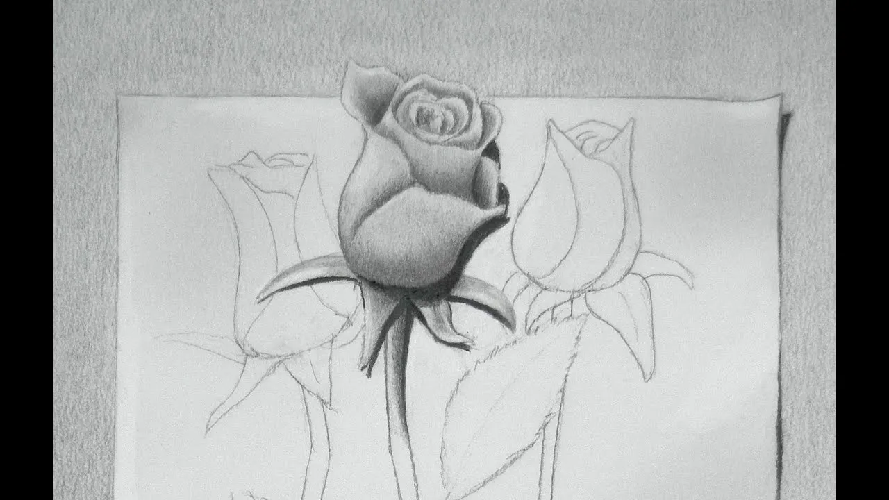 Dibujando rosas: cómo dibujar una rosa en 3D - Arte Divierte - YouTube Dibujando rosas: cómo dibujar una rosa en 3D - Arte Divierte - YouTube