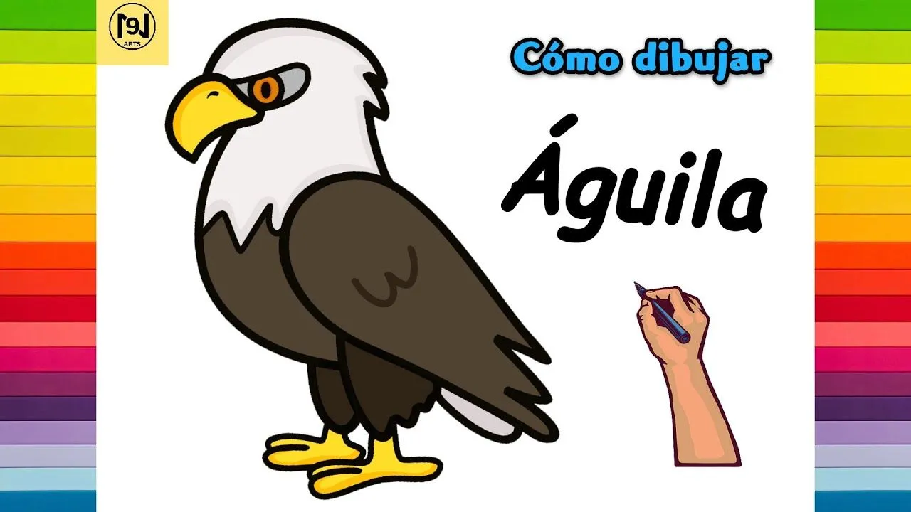 Cómo dibujar un águila calva Dibujo de águila calva fácil paso a paso | No.9 ARTS - YouTube Cómo dibujar un águila calva Dibujo de águila calva fácil paso a paso | No.9 ARTS - YouTube