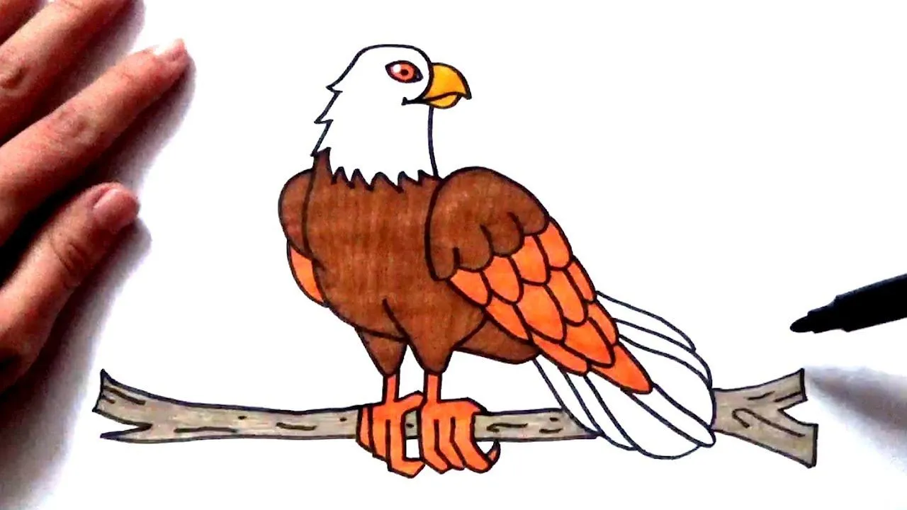 Cómo dibujar un aguila muy fácil y paso a paso - Dibujo de un águila - YouTube Cómo dibujar un aguila muy fácil y paso a paso - Dibujo de un águila - YouTube