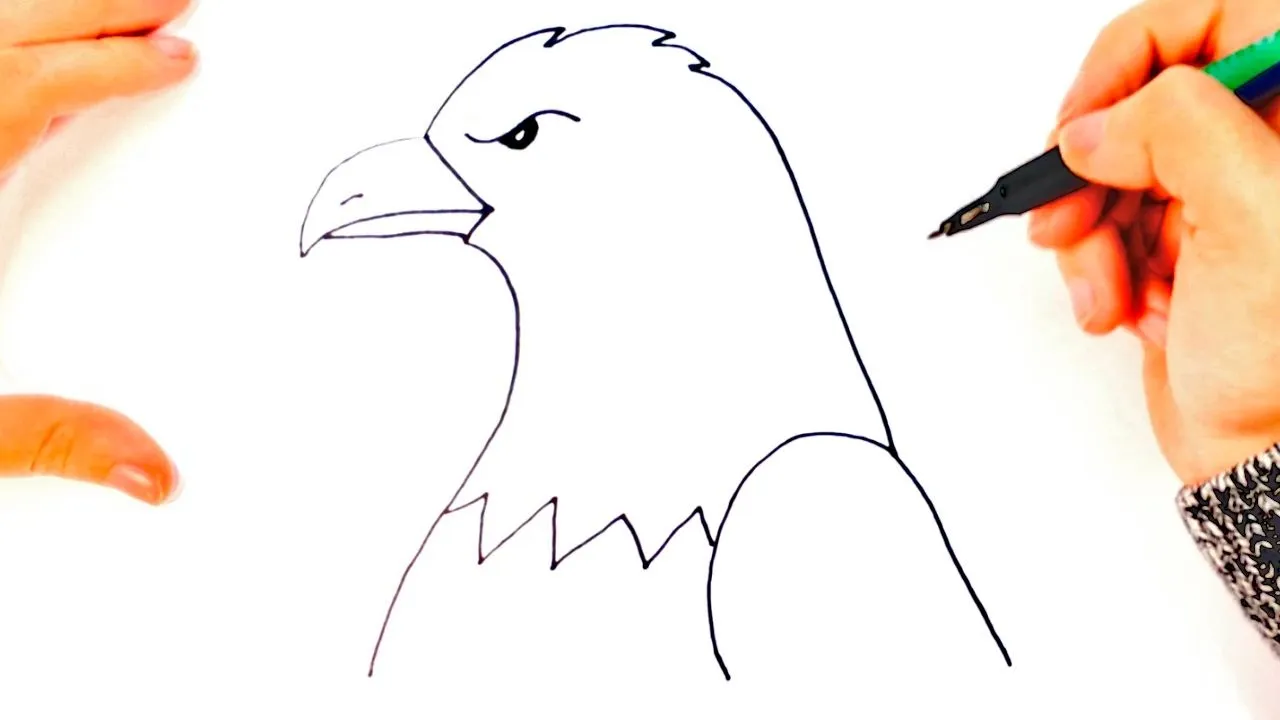 Cómo dibujar un Águila paso a paso | Dibujo fácil de Águila - YouTube Cómo dibujar un Águila paso a paso | Dibujo fácil de Águila - YouTube