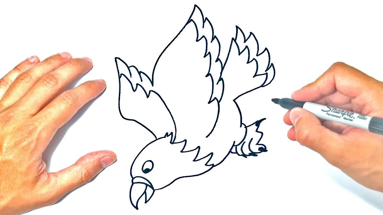 Cómo dibujar un Águila Paso a Paso | Dibujo de Águila - YouTube Cómo dibujar un Águila Paso a Paso | Dibujo de Águila - YouTube