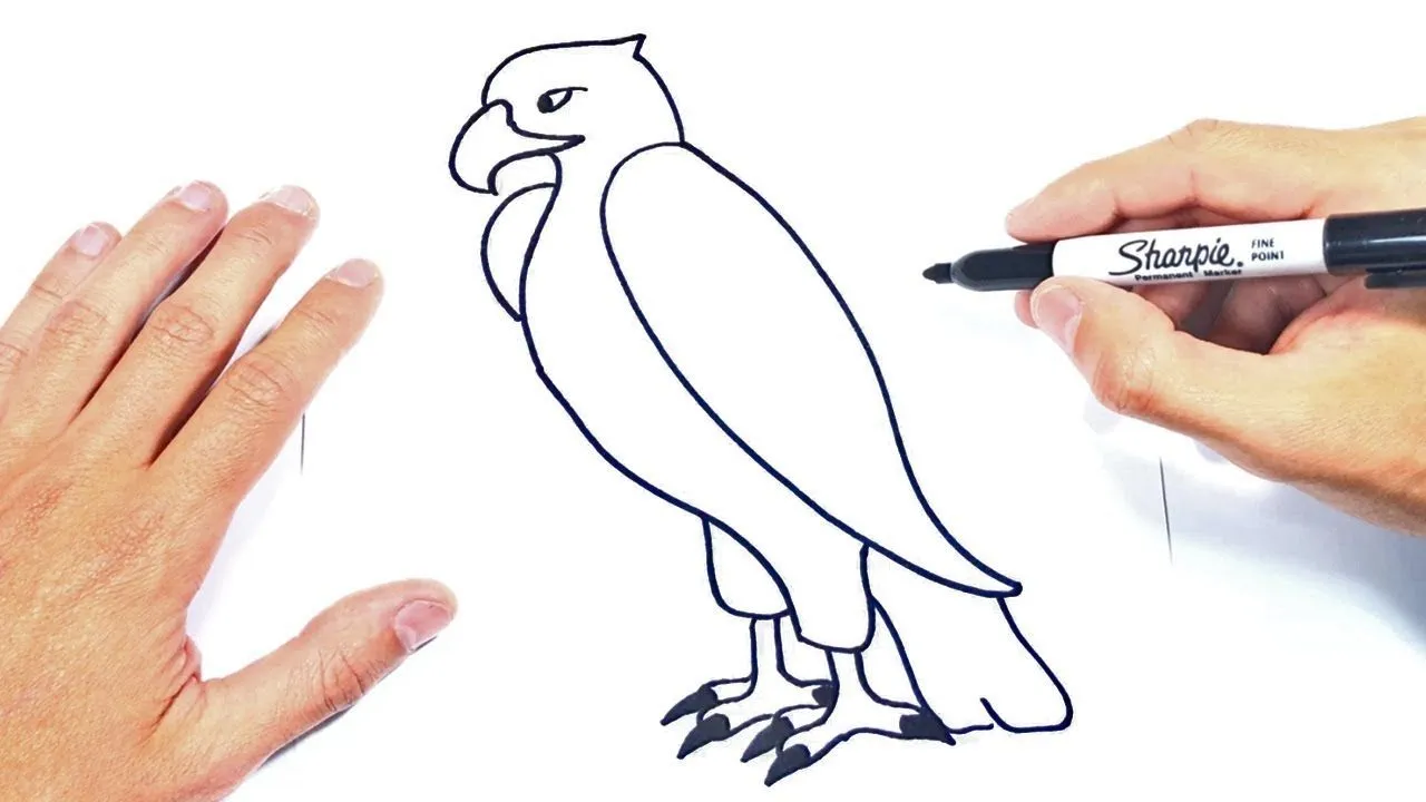 Cómo dibujar un Aguila Paso a Paso y fácil - YouTube Cómo dibujar un Aguila Paso a Paso y fácil - YouTube