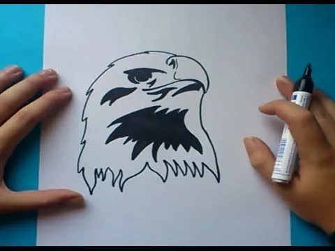 Como dibujar un aguila paso a paso | How to draw an eagle - YouTube