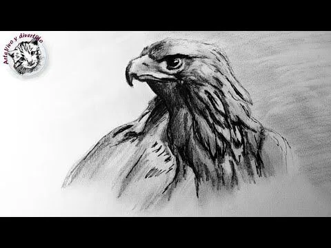 Como Dibujar un Aguila Realista Paso a Paso | tecnicas de dibujo ...