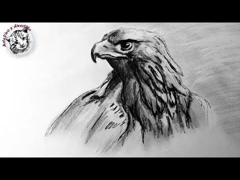 Como Dibujar un Aguila Realista Paso a Paso | tecnicas de dibujo ... Como Dibujar un Aguila Realista Paso a Paso | tecnicas de dibujo ...