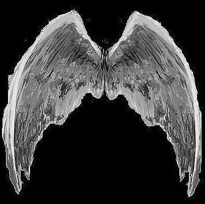 Alas de angeles de amor 3D - Imagui