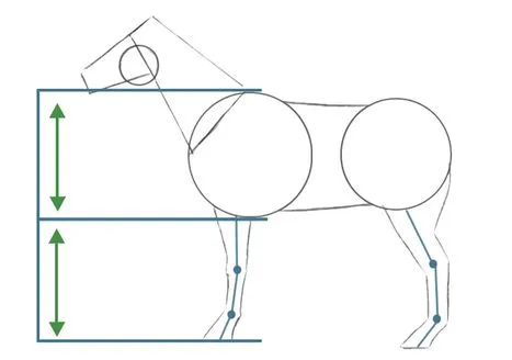Como dibujar caballos a lapiz paso a paso - Imagui
