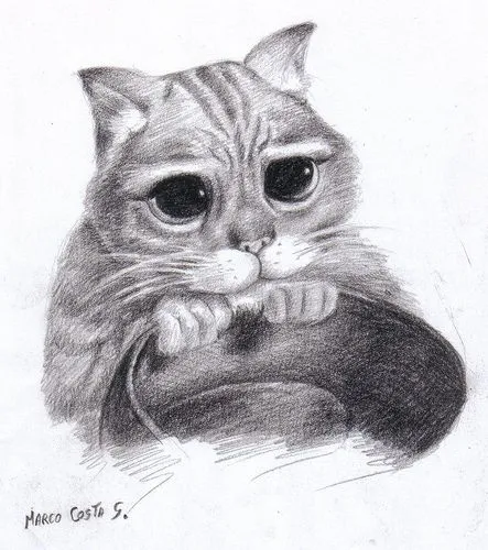 Como dibujar animales a lapiz - Imagui