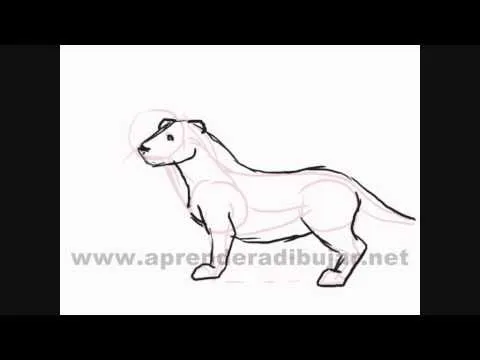 Como dibujar animales sencillos paso a paso - YouTube Como dibujar animales sencillos paso a paso - YouTube