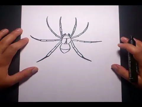 Como dibujar una araña paso a paso 4 | How to draw a spider 4 ...
