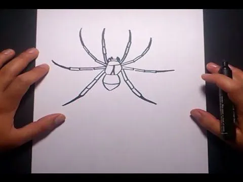 Como dibujar una araña paso a paso 4 | How to draw a spider 4 ... Como dibujar una araña paso a paso 4 | How to draw a spider 4 ...