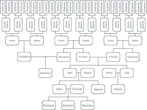 Como dibujar el árbol genealógico de la familia Como dibujar el árbol genealógico de la familia