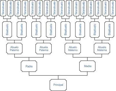 Como dibujar el árbol genealógico de la familia