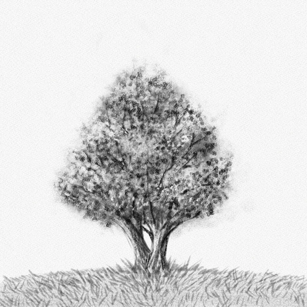 Cómo dibujar un árbol – Una guía paso a paso – Artlex Cómo dibujar un árbol – Una guía paso a paso – Artlex
