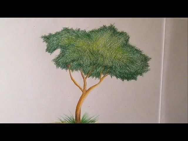 Cómo dibujar un árbol con lápices de colores paso a paso, dibujo ...