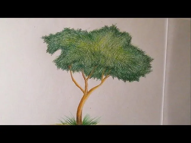 Cómo dibujar un árbol con lápices de colores paso a paso, dibujo ... Cómo dibujar un árbol con lápices de colores paso a paso, dibujo ...