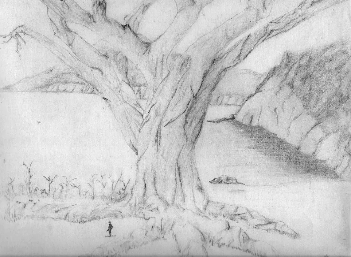 Dibujos en Lapiz: El Arbol