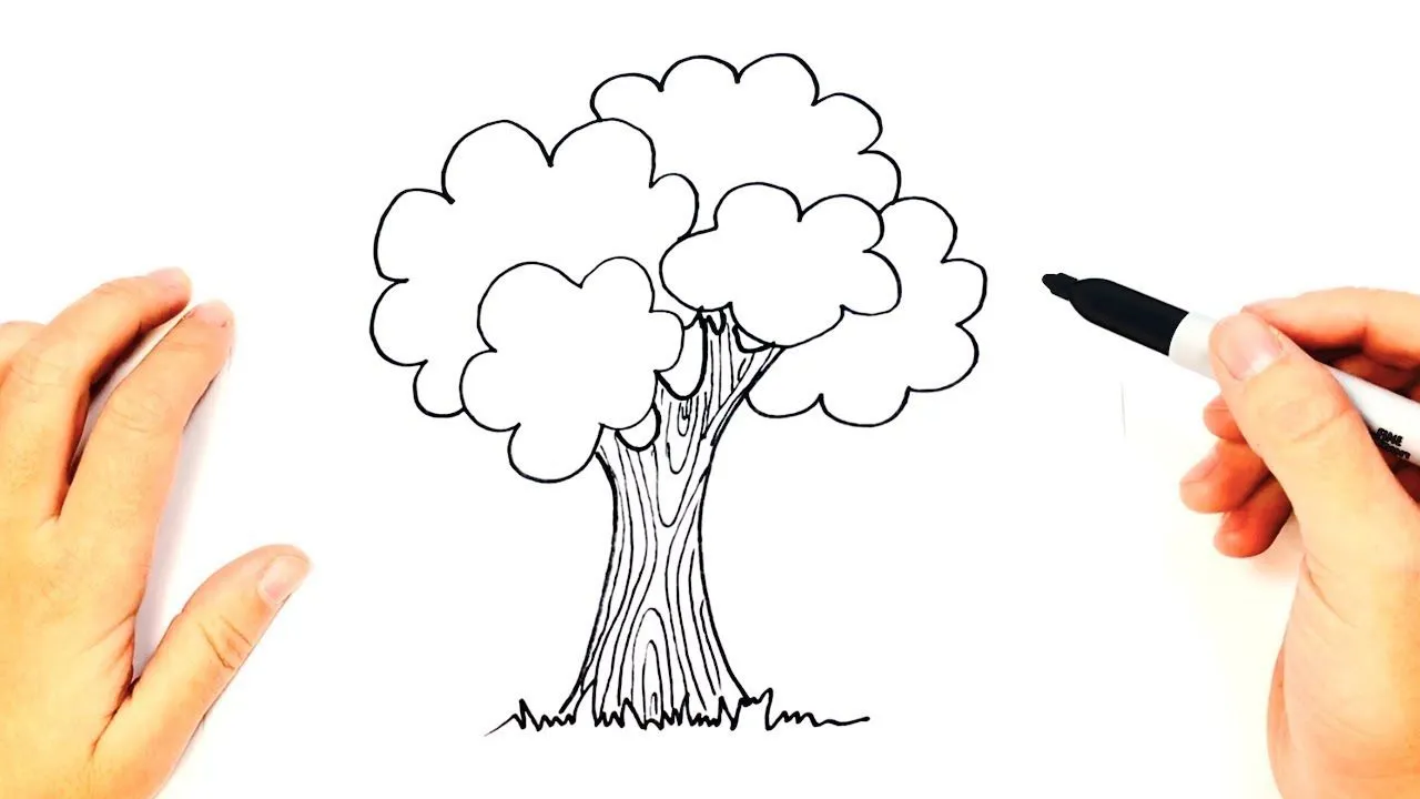 Cómo dibujar un Arbol paso a paso | Dibujo fácil de Arbol - YouTube Cómo dibujar un Arbol paso a paso | Dibujo fácil de Arbol - YouTube