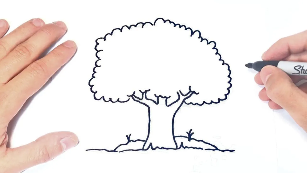 Cómo dibujar un Arbol Paso a Paso | Dibujo de Arbol - YouTube Cómo dibujar un Arbol Paso a Paso | Dibujo de Arbol - YouTube