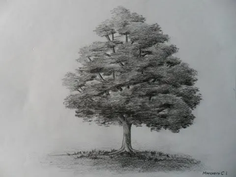 Como dibujar un árbol paso a paso, bien fácil. Bases para aprender ...