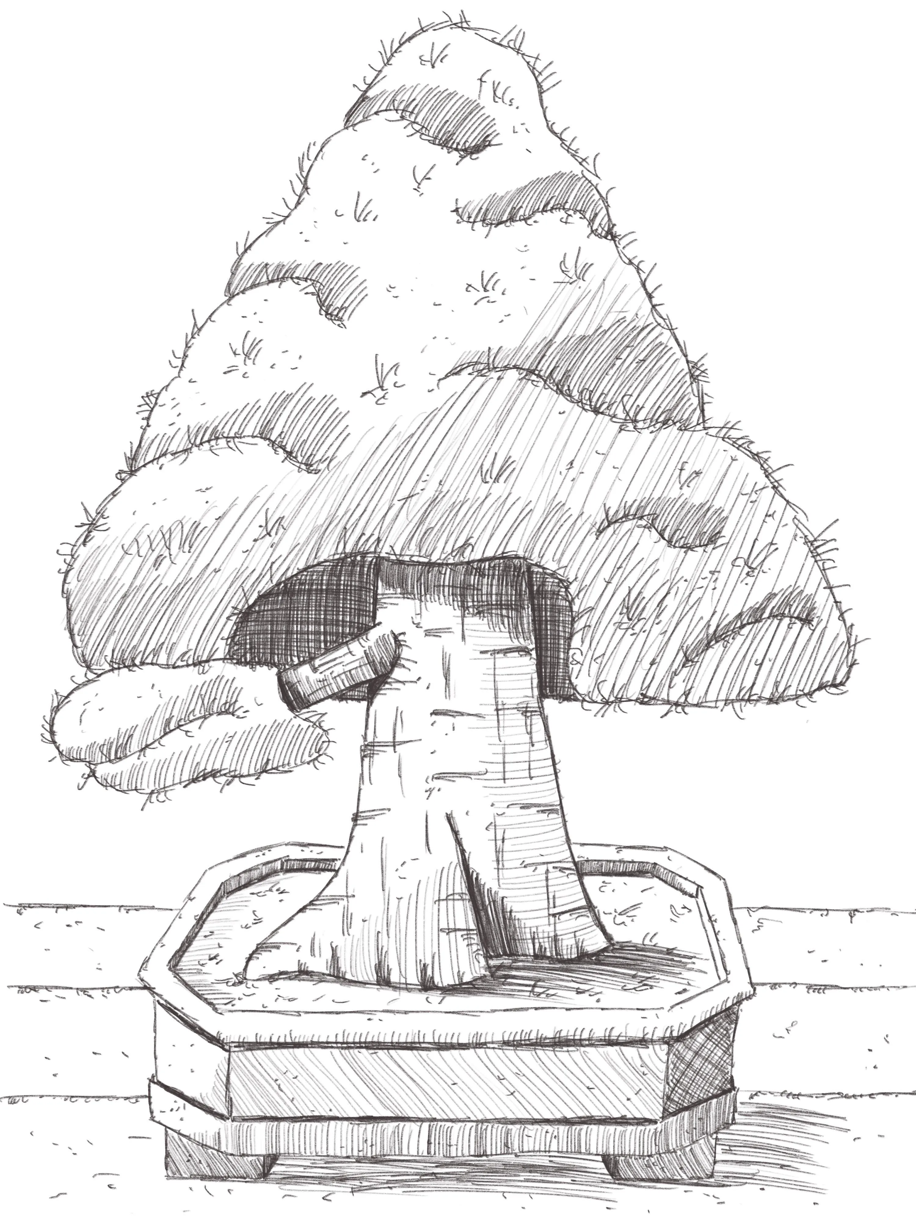 Cómo dibujar árboles de bonsái en Procreate Parte 2 | Benjamin A | Skillshare