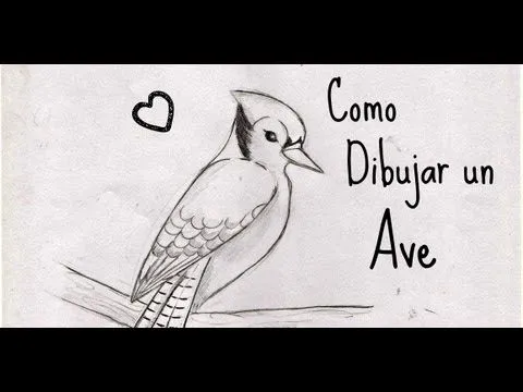 Como dibujar un Ave sencilla - YouTube