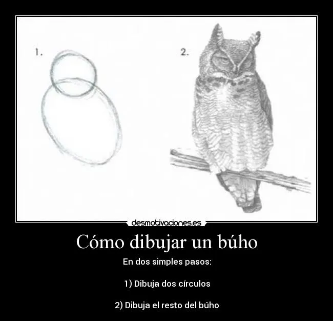 Cómo dibujar un búho | Desmotivaciones