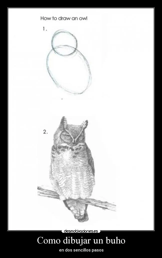 Como dibujar un buho | Desmotivaciones