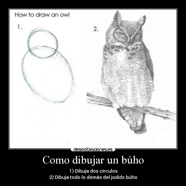 Como dibujar un búho - desmotivaciones. Como dibujar un búho - desmotivaciones.