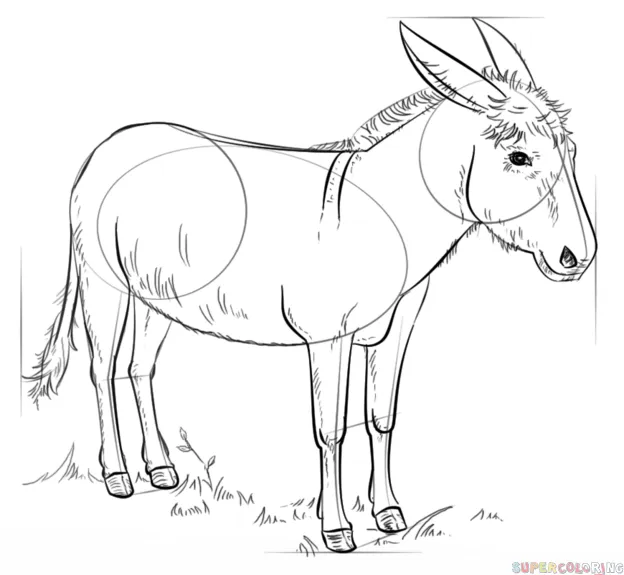 Cómo dibujar un burro | Tutorial de dibujo paso a paso Cómo dibujar un burro | Tutorial de dibujo paso a paso
